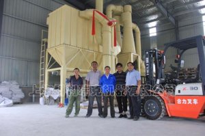 �żҸۣ���ϸ����ʯ΢���������ֳ�